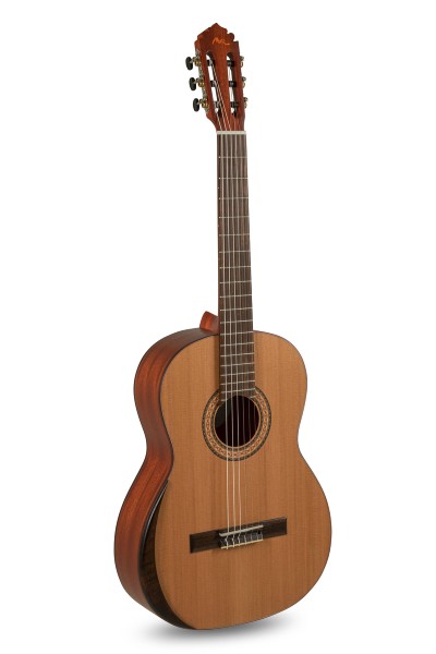 M. Rodigruez Tradicion Serie T-65
