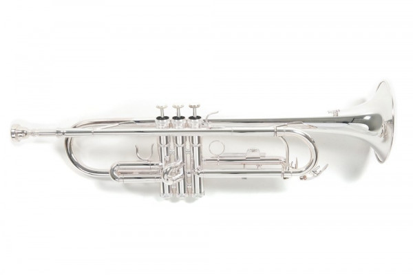 Roy Benson TR-202S Bb-Trompete